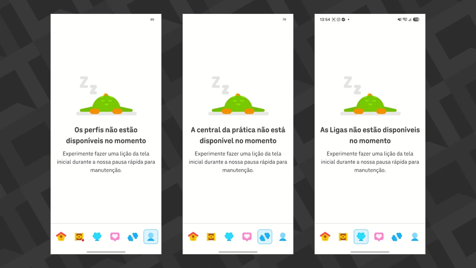 páginas Duolingo